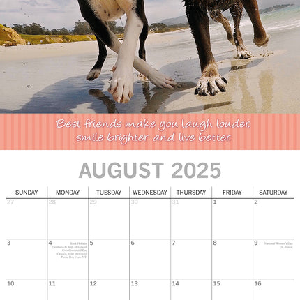 Best Friends - 2025 Square Wall Calendar Pets Animals 16 Months Premium Planner