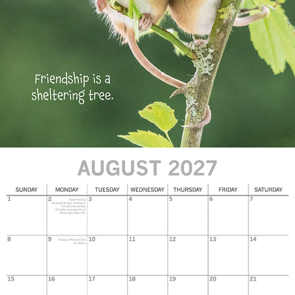 Best Friends 2027 Premium Square Wall Calendar August sample page