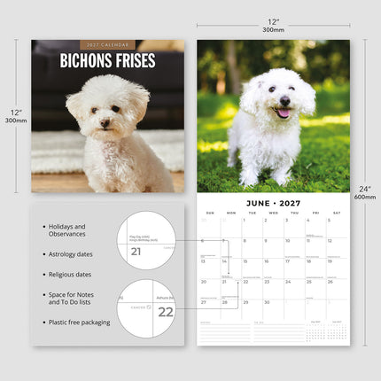 Bichons Frises 2027 square wall calendar - product specifications