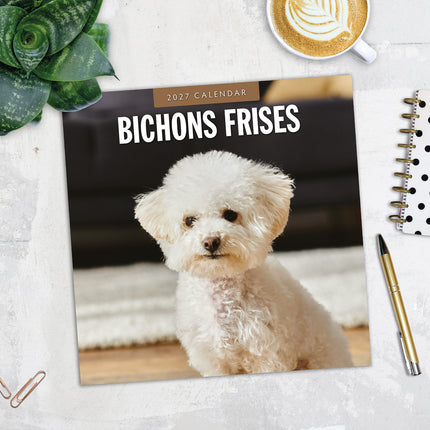 Bichons Frises 2027 square wall calendar - image detail