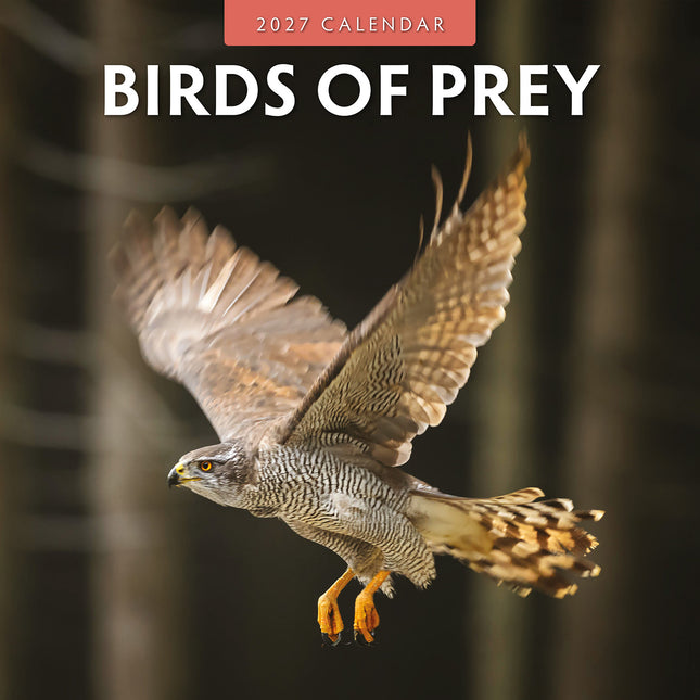 Birds of Prey 2027 square wall calendar - front cover
