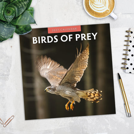 Birds of Prey 2027 square wall calendar - image detail
