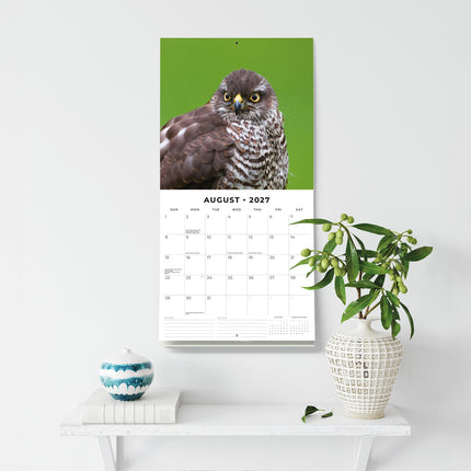 Birds of Prey 2027 square wall calendar - wall display