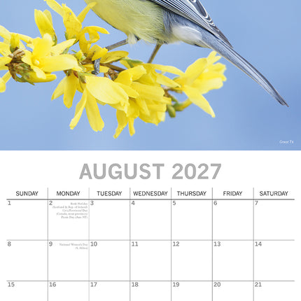 Birds 2027 Square Wall Calendar August sample page