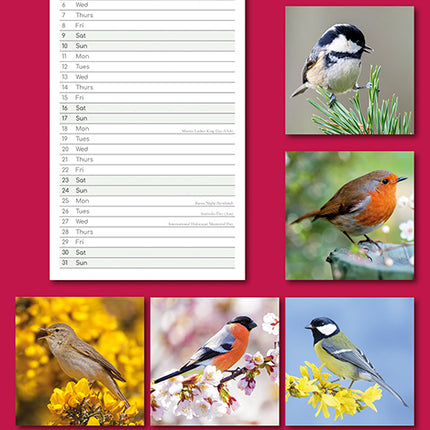 Birds 2027 Premium Slim Wall Calendar back cover