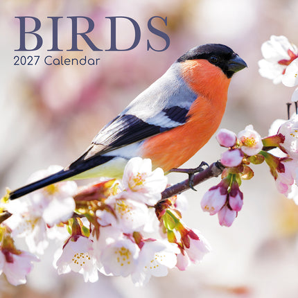 Birds 2027 Square Wall Calendar cover