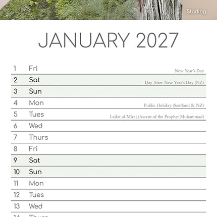 Birds 2027 Premium Slim Wall Calendar January sample page