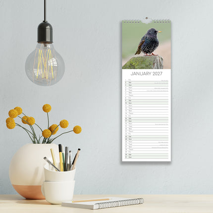 Birds 2027 Premium Slim Wall Calendar lifestyle image