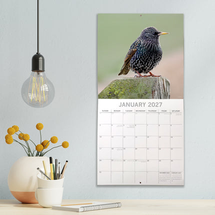 Birds 2027 Square Wall Calendar lifestyle image