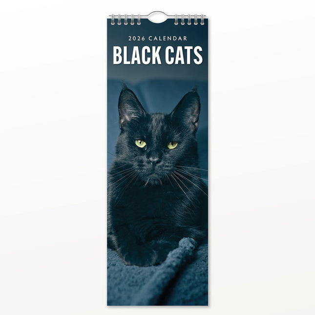 Black Cats 2027 square wall calendar - front cover
