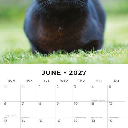 Black Cats 2027 square wall calendar - monthly calendar spread