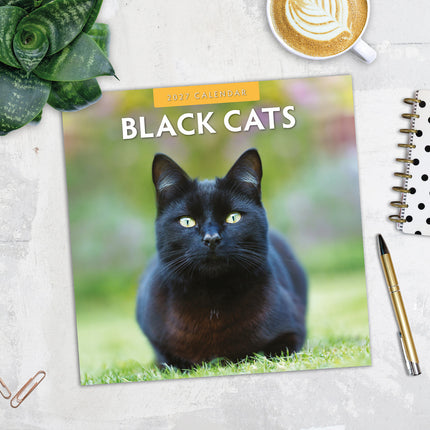 Black Cats 2027 square wall calendar - image detail