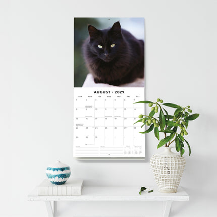 Black Cats 2027 square wall calendar - wall display