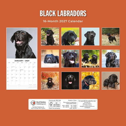 Black Labradors 2027 square wall calendar - back cover