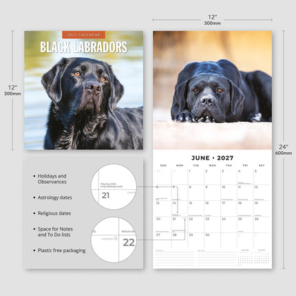 Black Labradors 2027 square wall calendar - product specifications