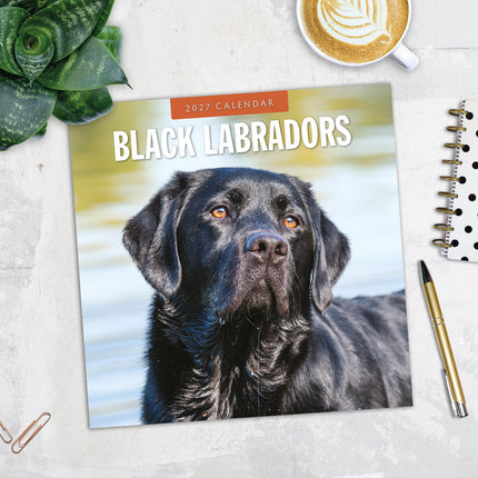 Black Labradors 2027 square wall calendar - image detail