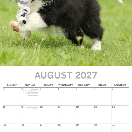 Border Collie Puppies 2027 Premium Square Wall Calendar August sample page