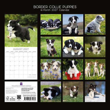 Border Collie Puppies 2027 Premium Square Wall Calendar back cover