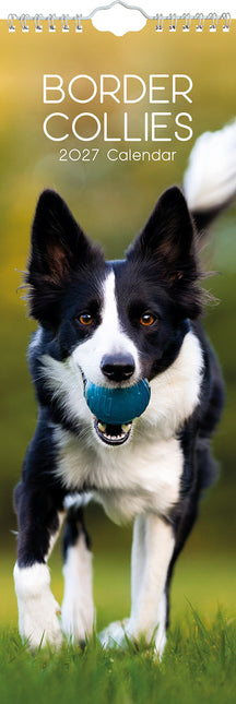 Border Collie 2027 Premium Slim Wall Calendar cover