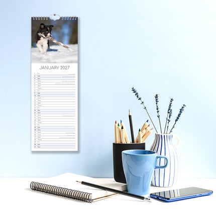 Border Collie 2027 Premium Slim Wall Calendar lifestyle image