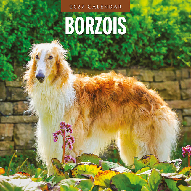 Borzois 2027 square wall calendar - front cover