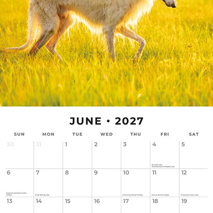 Borzois 2027 square wall calendar - monthly calendar spread