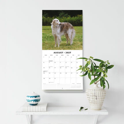 Borzois 2027 square wall calendar - wall display