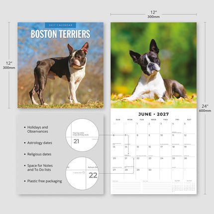 Boston Terriers 2027 square wall calendar - product specifications