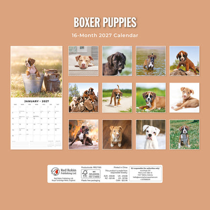Boxer Puppies 2027 square wall calendar - back cover