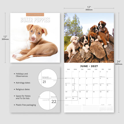 Boxer Puppies 2027 square wall calendar - product specifications
