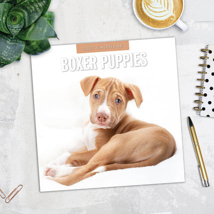 Boxer Puppies 2027 square wall calendar - image detail