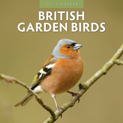 British Garden Birds 2027 square wall calendar - front cover