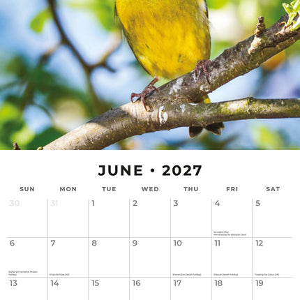 British Garden Birds 2027 square wall calendar - monthly calendar spread