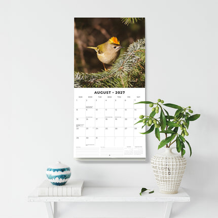 British Garden Birds 2027 square wall calendar - wall display