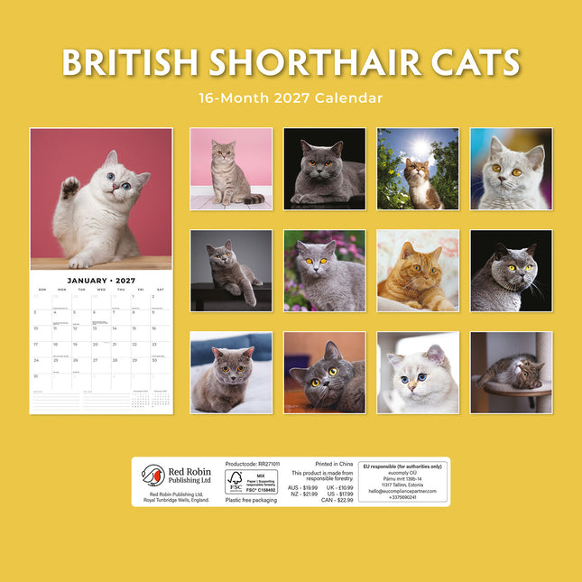 British Shorthair Cats 2027 square wall calendar - back cover