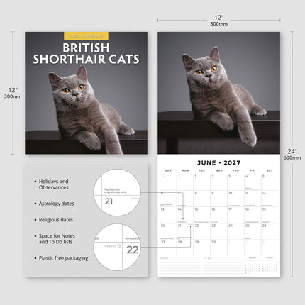 British Shorthair Cats 2027 square wall calendar - product specifications