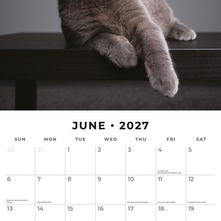British Shorthair Cats 2027 square wall calendar - monthly calendar spread