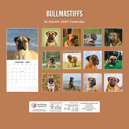 Bullmastiffs 2027 square wall calendar - back cover