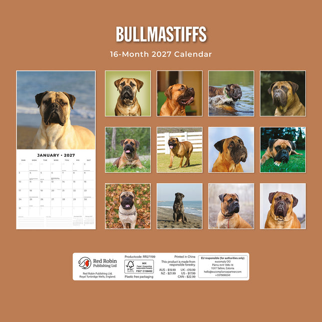 Bullmastiffs 2027 square wall calendar - back cover