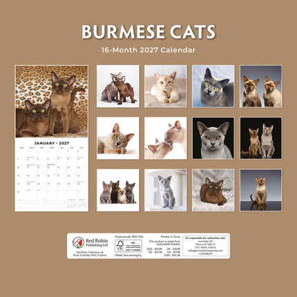 Burmese Cats 2027 square wall calendar - back cover