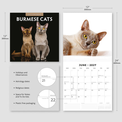 Burmese Cats 2027 square wall calendar - product specifications