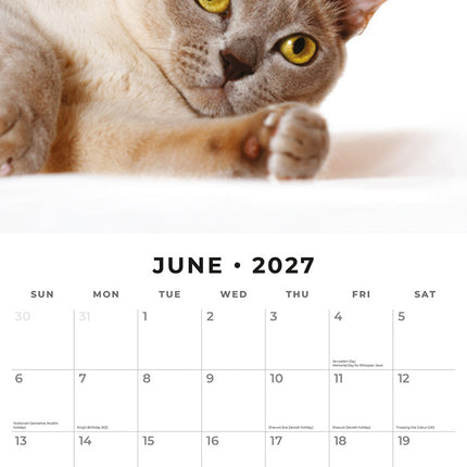 Burmese Cats 2027 square wall calendar - monthly calendar spread