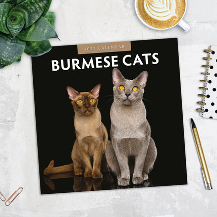 Burmese Cats 2027 square wall calendar - image detail