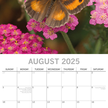 Butterflies - 2025 Square Wall Calendar Pets Animals 16 Months Premium Planner