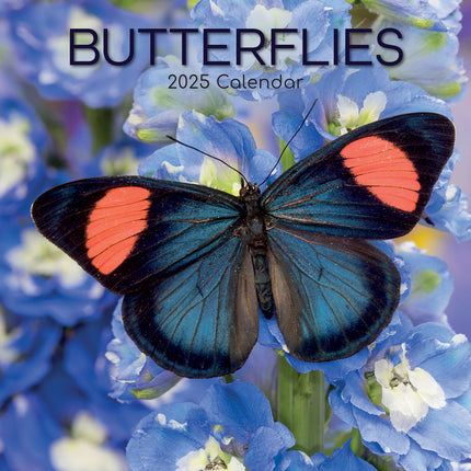 Butterflies - 2025 Square Wall Calendar Pets Animals 16 Months Premium Planner