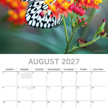 Butterflies 2027 Square Wall Calendar August sample page
