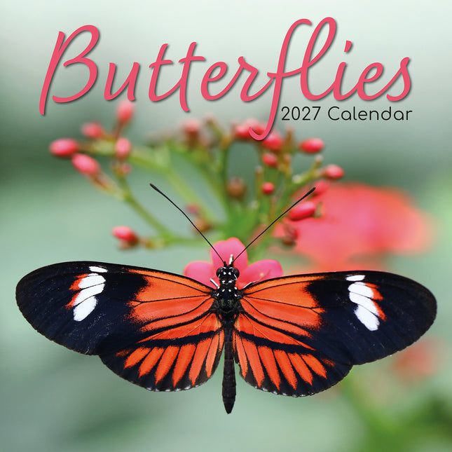 Butterflies 2027 Square Wall Calendar cover