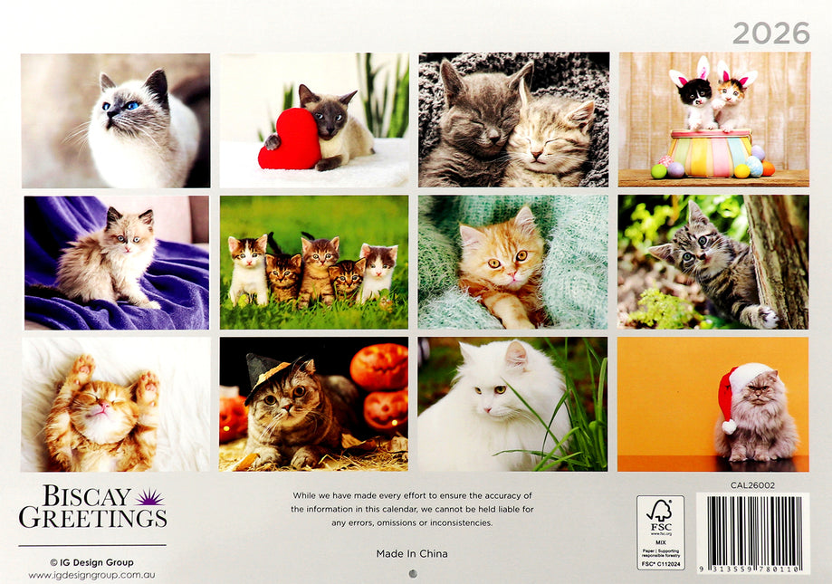 Cats And Kittens - 2026 Rectangle Wall Calendar 16 Months Hanging Animal Planner