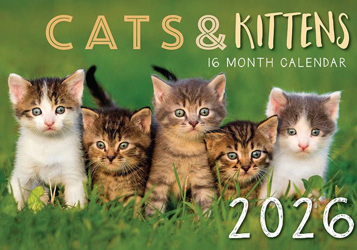 2026 Cats & Kittens Rectangle Wall Calendar