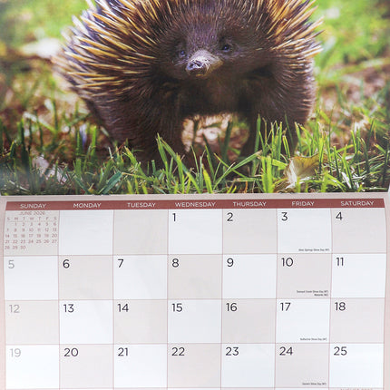 Australian Wildlife 2026 Rectangle Wall Calendar 16 Months Hanging Planner Gift